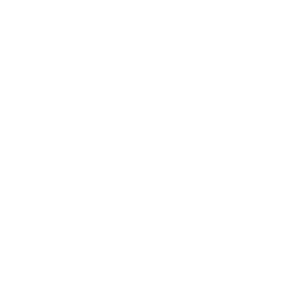 loupe (1)