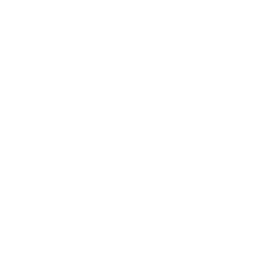 monetization